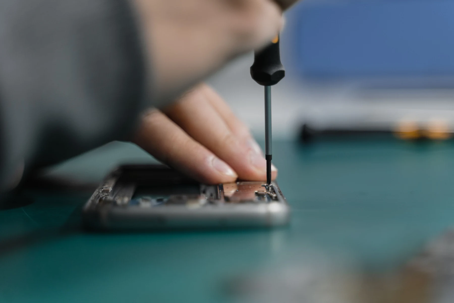 Người hiểu kính, đã biết đến Feaglet trước tiên